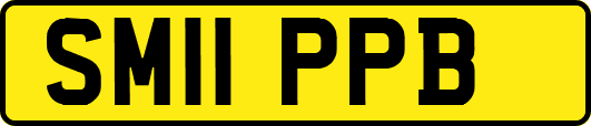 SM11PPB