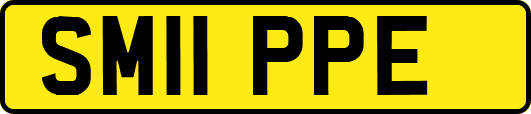 SM11PPE