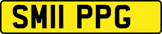 SM11PPG