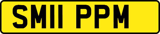 SM11PPM