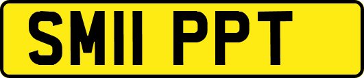 SM11PPT