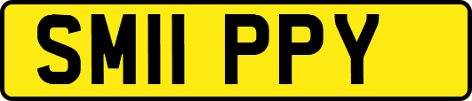SM11PPY