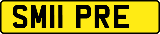 SM11PRE