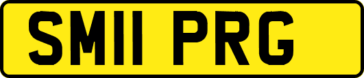 SM11PRG