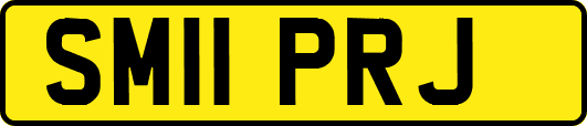SM11PRJ