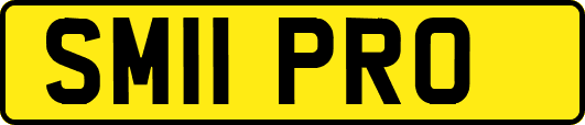 SM11PRO
