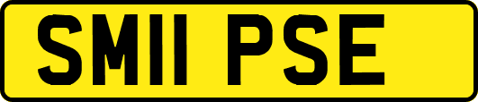 SM11PSE