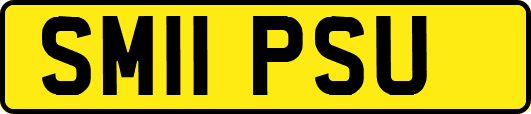 SM11PSU