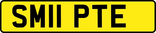 SM11PTE