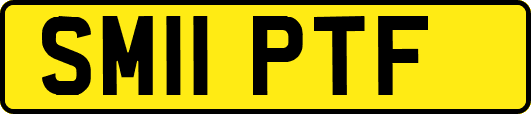 SM11PTF