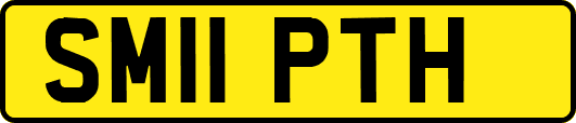 SM11PTH