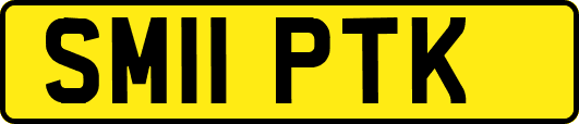 SM11PTK
