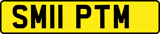 SM11PTM