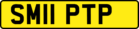 SM11PTP