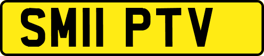 SM11PTV