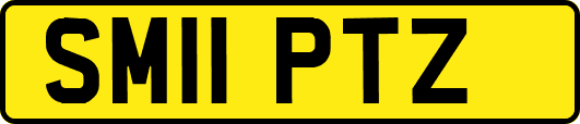 SM11PTZ