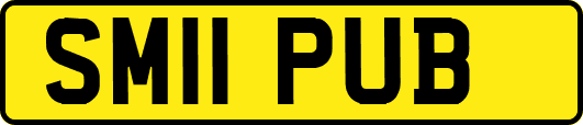 SM11PUB
