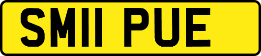 SM11PUE