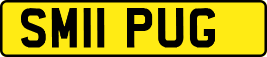 SM11PUG