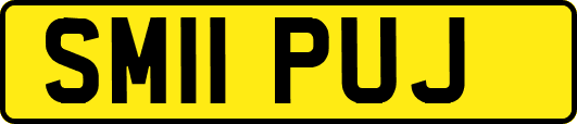 SM11PUJ
