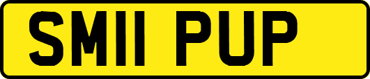 SM11PUP