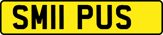 SM11PUS