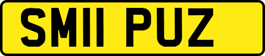 SM11PUZ