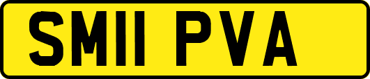 SM11PVA