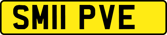 SM11PVE