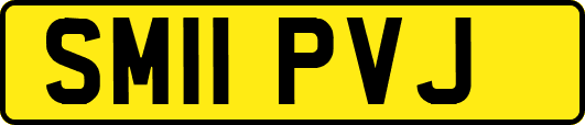 SM11PVJ