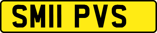 SM11PVS