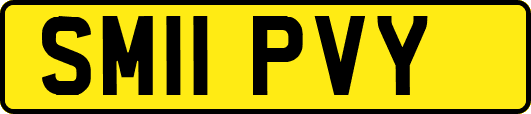 SM11PVY