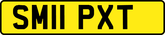 SM11PXT