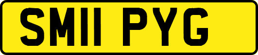 SM11PYG