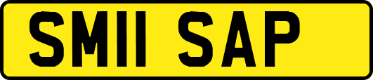 SM11SAP