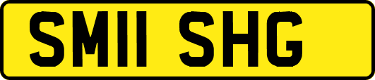 SM11SHG
