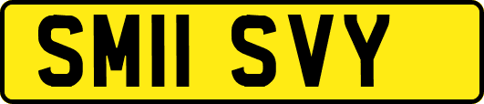 SM11SVY
