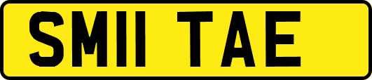 SM11TAE