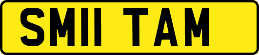 SM11TAM