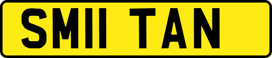 SM11TAN
