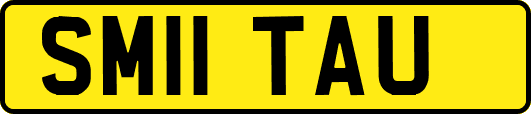 SM11TAU