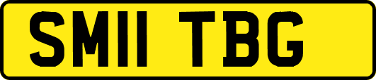SM11TBG