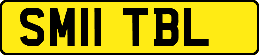 SM11TBL