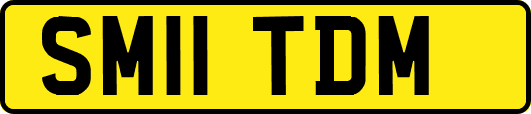 SM11TDM