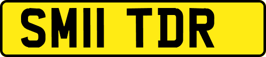 SM11TDR