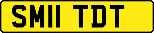 SM11TDT