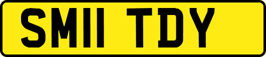 SM11TDY