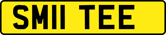 SM11TEE