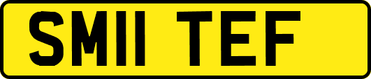 SM11TEF