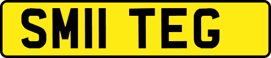 SM11TEG